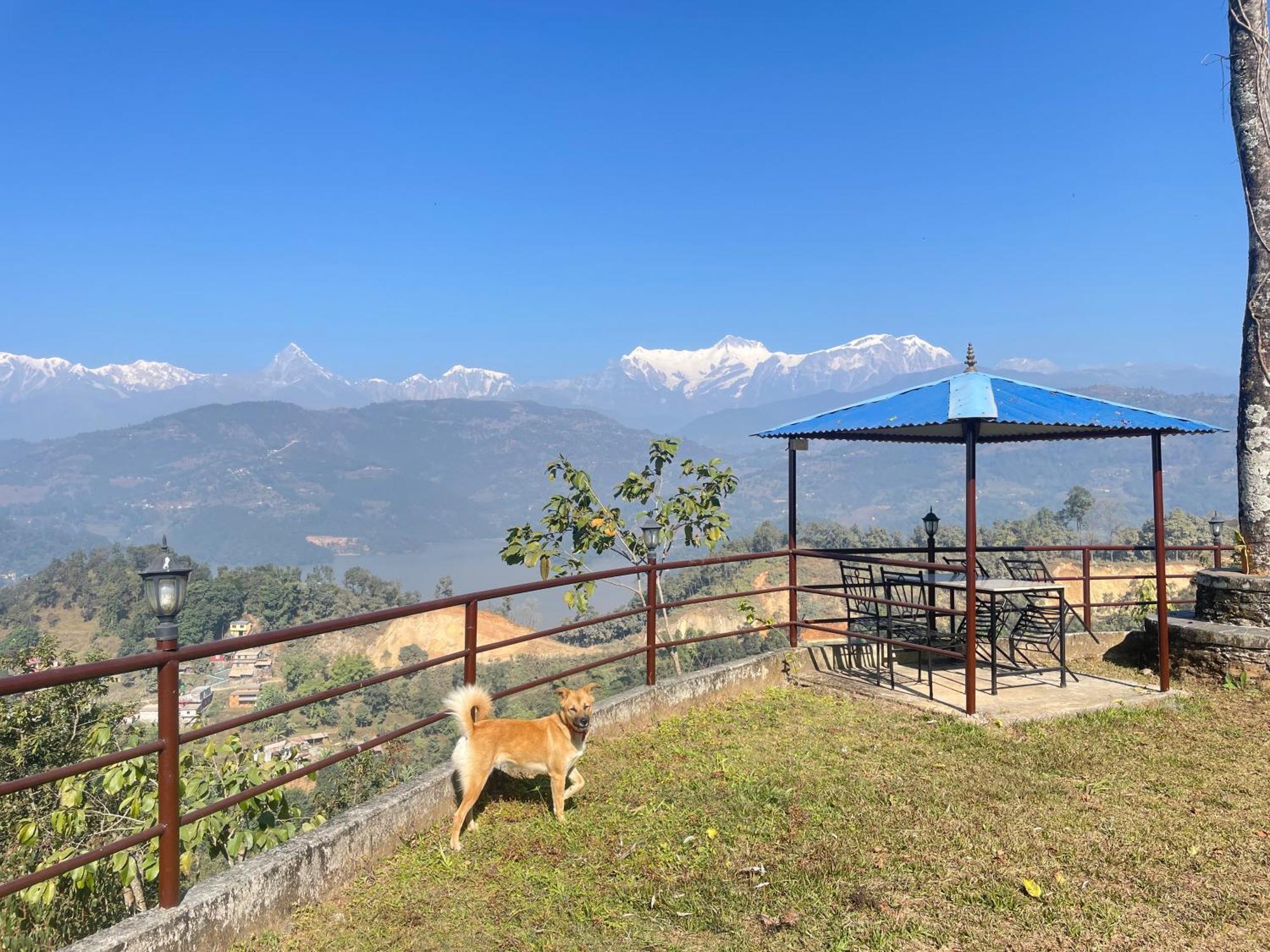 Himalaya Serene View Guest House & Farm Stay Deorali Екстер'єр фото